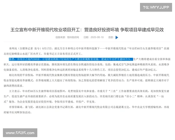 老将经济学兴起高龄后卫溢价转会市场格局悄然变化